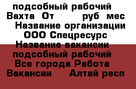 подсобный рабочий . Вахта. От 30 000 руб./мес. › Название организации ­ ООО Спецресурс › Название вакансии ­ подсобный рабочий - Все города Работа » Вакансии   . Алтай респ.